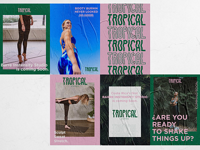 Tropical Barre Posters barre branding branding identity design fitness fitness center tropical tropical flyer