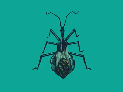 Wheel Bug (Arilus cristatus) bug bug catcher bugs digital illustration drawing illustration insects ipadpro women who daw