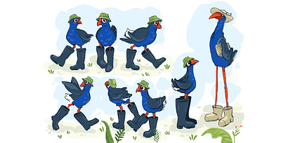 Character sheet for my first children's book! birds characterdesign childrens book design graphicdesign illustration nature new zealand picture book plants pukeko