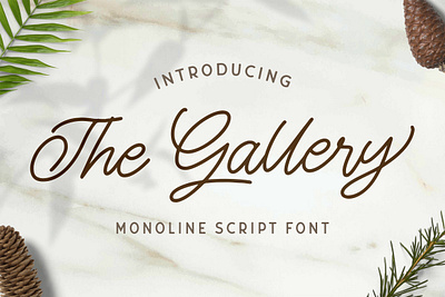 The Gallery - Monoline Script Font 80s calligraphy font grunge handdrawn handlettering handwritten line logotype mono monoline retro script vintage wedding
