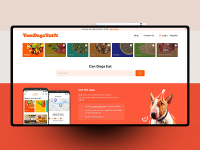 Web UI banner banner design design ui ui design ux web design website website design