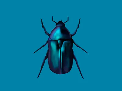 June bug bug bug collector color study cute illustration insect luminescent
