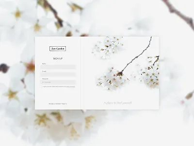Daily UI #01 Sign Up daily 100 challenge dailyui signup website
