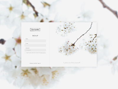 Daily UI #01 Sign Up daily 100 challenge dailyui signup website