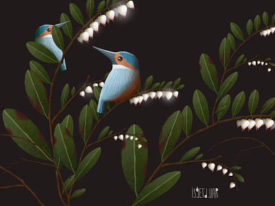 Kingfisher animal logo art artwork bird birds black black art cute cute animal design digital art digital artist digitalart flower flowers flowers illustration illustration kingfisher leaves nature art