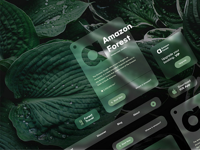 Forest Travel Cards cards ui clean clean ui concept flat forest grean icon illustration leaf logo minimalistic modern responsive simple travel ui ux web website