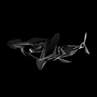 Sharkie branding design illustration logo