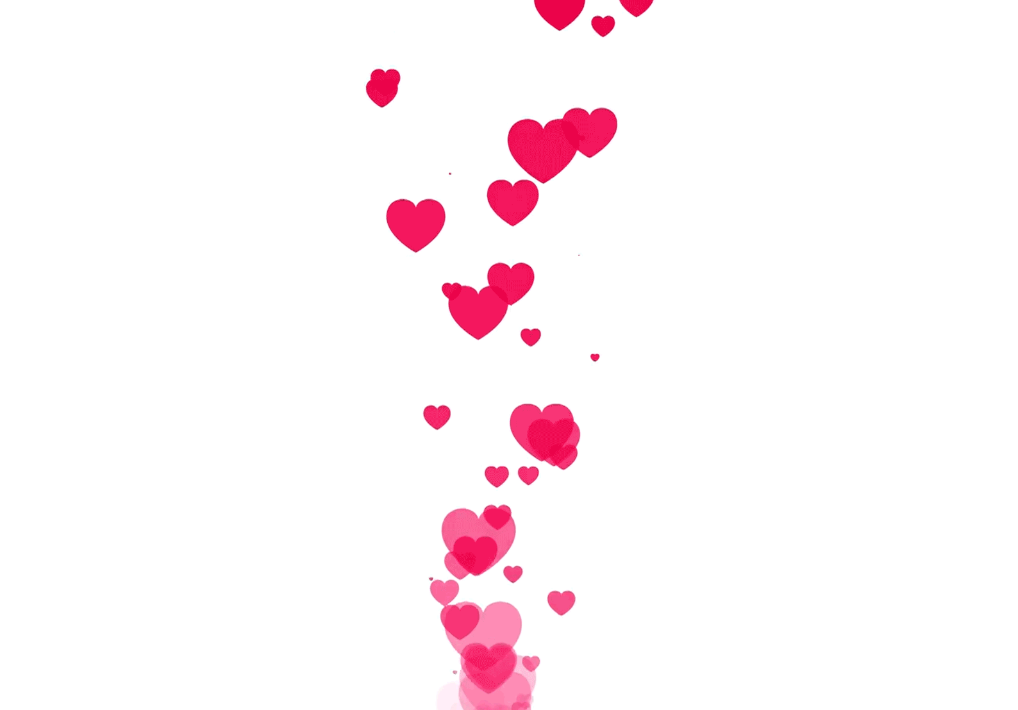 Red animated hearts 4k animated animation background communication heart isolated like love media modern motion network networking red sign social symbol up web