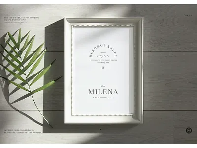 100 elegant femenine logos vol 2.0 branding collection design elegant feminine high end logo minimal pawellpi premium the bundle