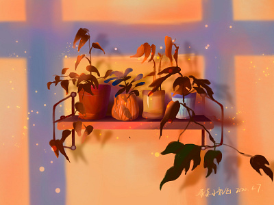 plant illustration light plant