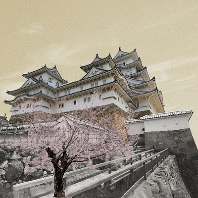 Himeji Castle illustration photoshop