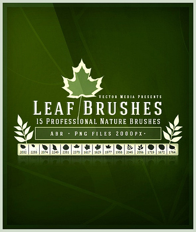 Leaf - Photoshop Brushes abr addons brush brush set custom brushes decorative design leaf nature paintings photoshop photoshop brushes set vectormedia vectormediagr