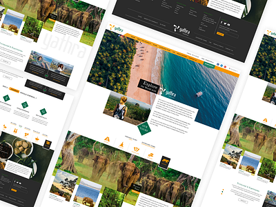 Travel Web Site Home Page Design adobexd branding design homepage design minimal typography ui ux web website