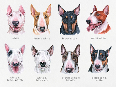 Bull Terrier animal bull bullterrier dog dog illustration draw illustration pet pets puppy terrier watercolor watercolor art