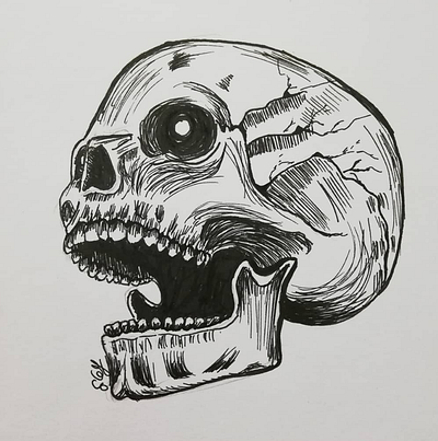 Skull black and white hand drawn illustration skull