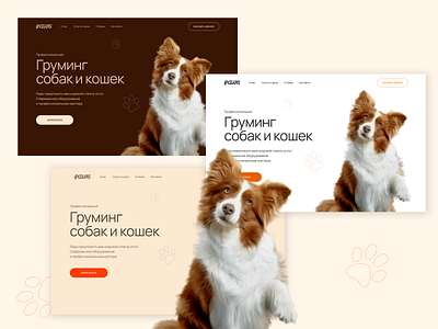 Груминг салон branding design ui ux