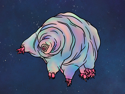 Tardigrade 4/5 series space tardigrade