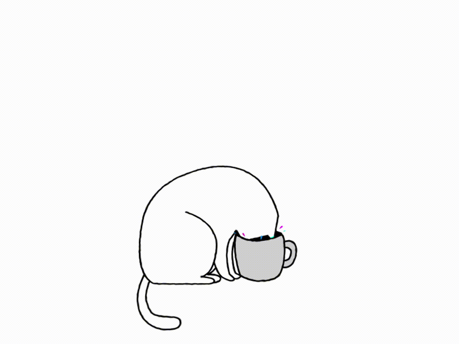 splash! aftereffects animals animation animation 2d cats