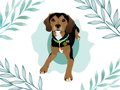 Murphy the Beaglier beagle beaglier cavalier design dog dog illustration illustration wacom intuos