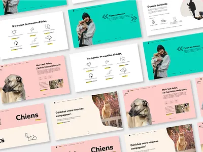 Animal Shelter UI animal animal shelter colors design illustration ui webdesign website website design