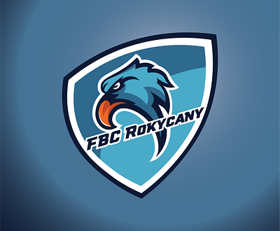 FBC rokycany - florball team branding design florball icon illustration logo team