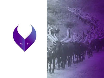 V Logo branding brochure design business card design design graphic design illustrator logo minimal typography vector