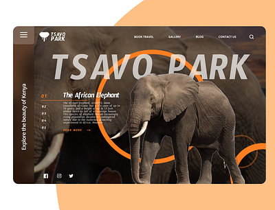 Tsavo National Park Website redesign figma ui ui ux ui design ui designer uiux ux ux design uxdesign