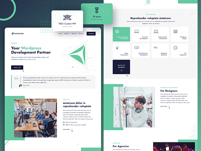 Wordpress Design software software company software development ui web website website design wordpress wordpress theme