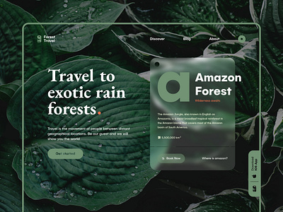 Forest Travel Web book button cards concept design download forest ios ios app landing page logo minimalistic modern search travel typography ui ux vector website