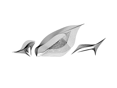 Bird Logo art branding design icon illustration illustrator logo