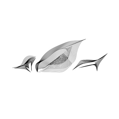 Bird Logo art branding design icon illustration illustrator logo