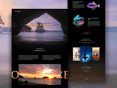 Marine Reserve - Travel Landing Page beach business clean dark design fish flat marine minimal tourism tourism website travel travel website ui webdesign