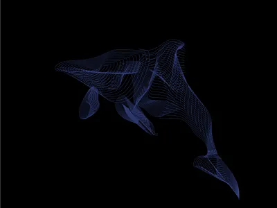 Dolphin branding design icon illustration illustrator logo