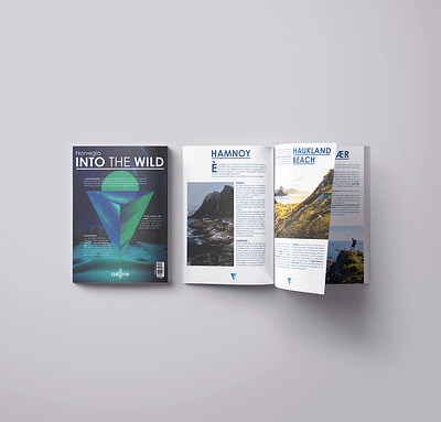 NORWAY MAGAZINE adobe illustrator adobe indesign browse contemporary illustrations indesign into the wild magazine modern natural nature norvegia norway photos photoshop rivista travel typography typography art viaggi