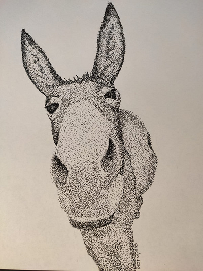 DonkeyDot animals donkey drawing illustration ink