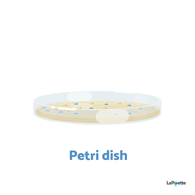 Week6 - Petri dish biology flat illustration illustration lab sciart scicomm science vector