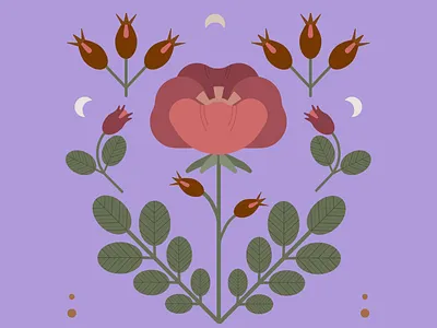 Botanical botanical design floralpattern folk geometrical illustration midcentury vector vintagecolor