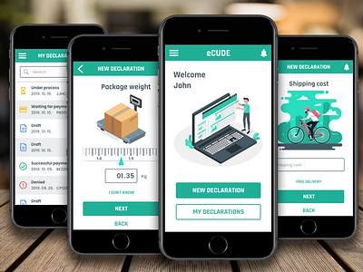eCUDE - Online customs declaration administrative animation boarding customs declaration design process tegri uidesign