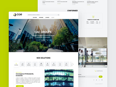 CAE Groupe Website agence b2b cable cae dnd ecommerce groupe home homepage magento sketch ui website