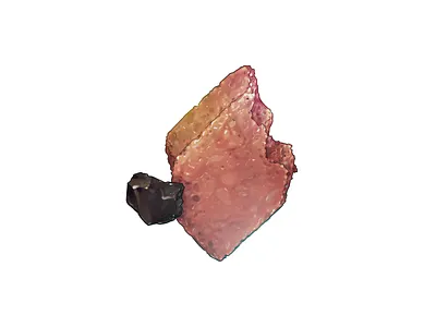 Reasons PPB Are Deploying Chemical Weapons Against Citizens, #5 acab blm brick icon illustration protest rock stone