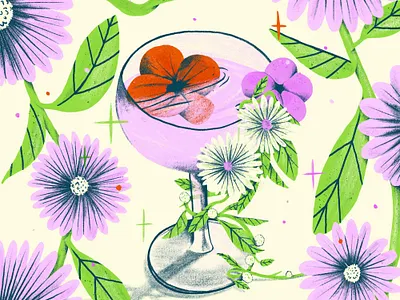 The Drink botanical illustration illustrator procreate