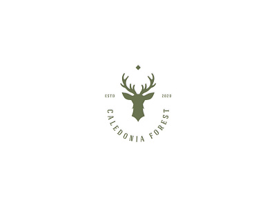 Custom Logo Design custom logo deer deer head deer logo forest logo logo design