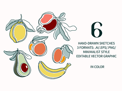 FRUTAS Line Drawings clip art fruits graphic illustration line art minimal minimalist one line sketch summer vector