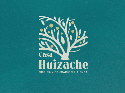 Casa Huizache branding design illustration logo natural vector