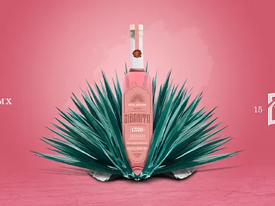 Campaña - Mezcal Rosado Zibarita - 1520 diseño foto producto socialmedia web