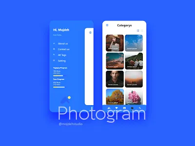 Photogram Application uiux app application ui uiuxdesign ux vector