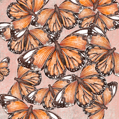 Red Admiral Butterflies butterflies digitial drawing flying illustration insects pattern red red admiral wings