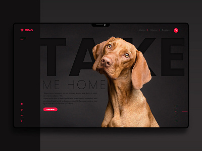 User interface design for a dog shelter cover design dog landing page prototypes user experience user interface user interface design userinterface