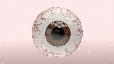 The eye