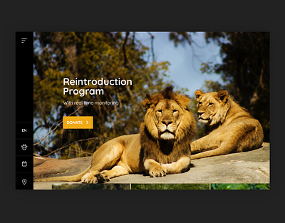 Lion's Reintroduction Center Website exploration lion reintroduction program webdesign weeklywarmup